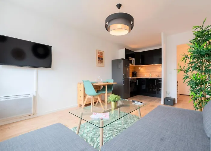 Lille, Fully-Equipped Apartment With Parking Space